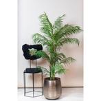 Kunstplant - Chamaedorea Elegans - Bergpalm - 120 cm, Verzenden, Nieuw