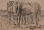 Willem Hendrik van der Nat (1864–1929) - Paarden op het land