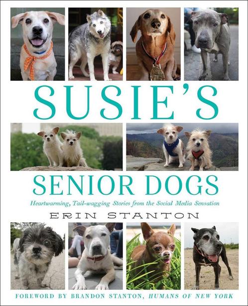 Susies Senior Dogs 9781501122477 Erin Stanton, Boeken, Overige Boeken, Zo goed als nieuw, Verzenden