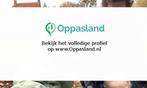 Julia zoekt een oppas in Zoetermeer voor 2 kinderen voor...