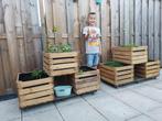 Fruitkisten , Veilingkisten , Houten kisten , Houten kratten