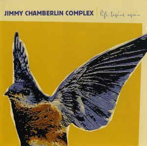 cd digi - Jimmy Chamberlin Complex - Life Begins Again, Cd's en Dvd's, Cd's | Jazz en Blues, Zo goed als nieuw, Verzenden