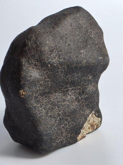 HaH346 L6 - 390 g - (1), Verzamelen, Mineralen en Fossielen