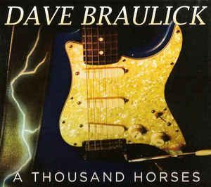 cd - Dave Braulick - A Thousand Horses, Cd's en Dvd's, Cd's | Overige Cd's, Zo goed als nieuw, Verzenden