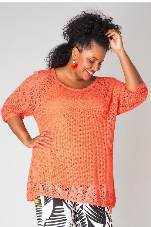 Trui Penny Ivy Bella Maat:, Kleding | Dames, Truien en Vesten, Overige kleuren, Nieuw, Verzenden