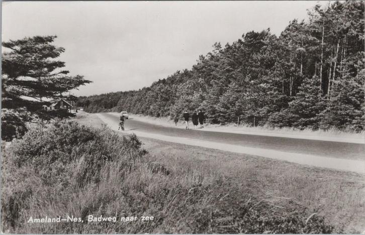 AMELAND - NES - Badweg naar Zee, Verzamelen, Ansichtkaarten | Nederland