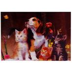 3d poster Hond en kittens NIEUW, Ophalen of Verzenden, Nieuw