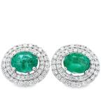 Oorbellen - 18 karaat Witgoud - 5.50ct. tw. Smaragd -, Nieuw