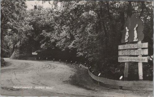 NIEUW MILLIGEN - Vakantieverblijf Rabbit Hill, Verzamelen, Ansichtkaarten | Nederland, Verzenden