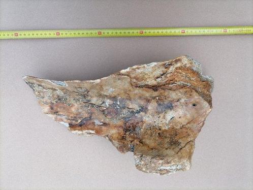 Wolharige mammoet - Fossiel bot - Mammuthus primigenius, Verzamelen, Mineralen en Fossielen