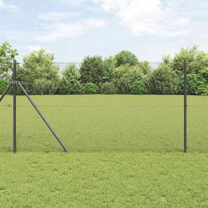 vidaXL Gelaste draadhek Grijs 1 x 100 m Staal, Tuin en Terras, Schuttingen, Nieuw, IJzer, Verzenden