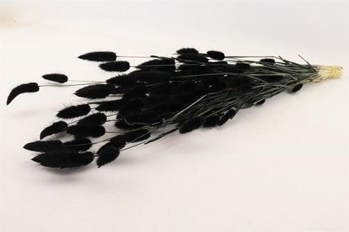 Lagurus Ovatus Pluimgras Graspluimen in hoes Zwart 100 gram, Huis en Inrichting, Woonaccessoires | Kunstplanten en Kunstbloemen