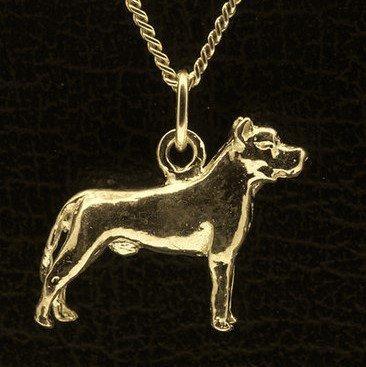 Gouden Ca Canario oren gecoupeerd ketting hanger - klein, Sieraden, Tassen en Uiterlijk, Kettinghangers, Verzenden