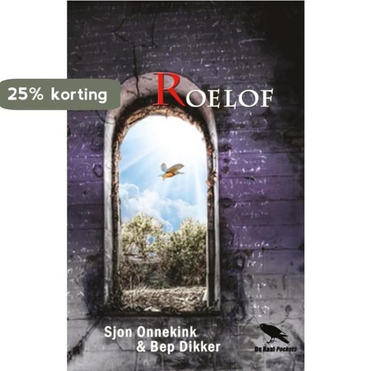 Roelof 9789086030606 Sjon Onnekink, Boeken, Historische romans, Zo goed als nieuw, Verzenden