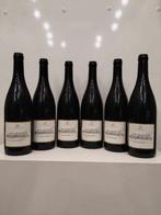 2021 Y. Amirault Les Malgagnes (en Amphore) - Bourgueil -, Nieuw