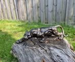 Beeld, Large Iron Panther 4kg 41cm - 10.5 cm - IJzer