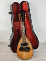 Fratelli Vinaccia Gennaro e Achille - Napoletano - -, Nieuw