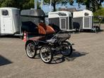 Enkelspan / Tweespan / Mix 4 / Marathonwagen / Pony / Koets, Gebruikt, Marathonwagen, Pony