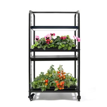 Plantenstandaard met FullSpectrum LEDGroeilampen – 2 Lagen beschikbaar voor biedingen
