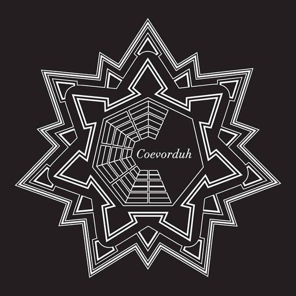 cd digi - Coevorduh - Wesley Against Society, Cd's en Dvd's, Cd's | Nederlandstalig, Zo goed als nieuw, Verzenden
