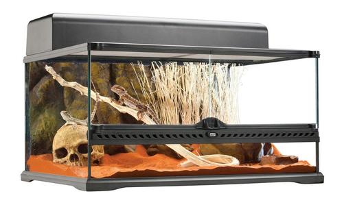 Exo Terra Glas Terrarium | 60 x 45 x 30CM met achterwand, Dieren en Toebehoren, Reptielen en Amfibieën | Toebehoren, Ophalen of Verzenden