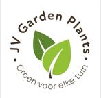 Portugese laurier /prunus lusitanica alle maten, Tuin en Terras, Ophalen of Verzenden, Laurier, Haag, 100 tot 250 cm