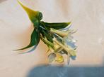Corsage pick – white kunst stephanotus per stuk voor toefjes, Ophalen of Verzenden, Nieuw