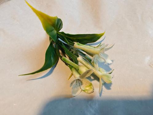 Corsage pick – white kunst stephanotus per stuk voor toefjes, Hobby en Vrije tijd, Knutselen, Nieuw, Ophalen of Verzenden