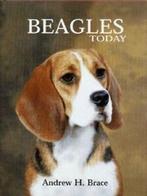 Beagles today by Andrew H Brace (Hardback), Gelezen, Andrew H. Brace, Verzenden