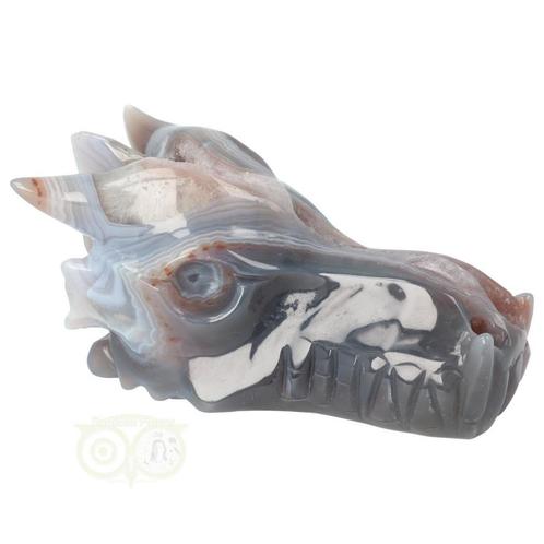 Agaat Geode Drakenschedel 596 gram, Sieraden, Tassen en Uiterlijk, Edelstenen, Nieuw, Verzenden