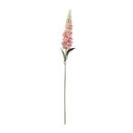Delphinium roze ivory 72 cm / st – zijdebloem bloomon, Ophalen of Verzenden, Nieuw
