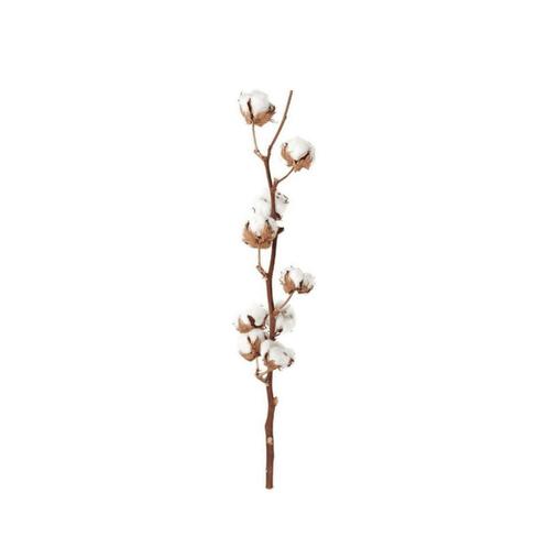 Katoenbollen tak | (5-kops), Huis en Inrichting, Woonaccessoires | Kunstplanten en Kunstbloemen, Verzenden