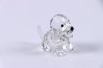 Figuur - Swarovski - Zittende Beagle (Boxed + certificate) -