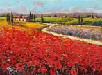 Gino Masini (1949) - Sea of red poppies - Tuscany landscape