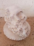sculptuur, Memento Mori Vanitas - 19 cm - Majolica, Antiek en Kunst