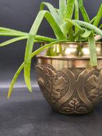 Jardinière - ketel - Messing, Antiek en Kunst, Curiosa en Brocante