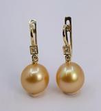 Oorbellen - 14 karaat Geel goud - 0.07ct. tw. - 11x12mm, Sieraden, Tassen en Uiterlijk, Oorbellen, Nieuw