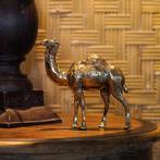 sculptuur, NO RESERVE PRICE - Bronze Polished Dromedary