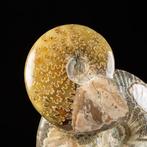 Fossiele ammonietgroep op originele matrix - Exclusief, Verzamelen, Mineralen en Fossielen