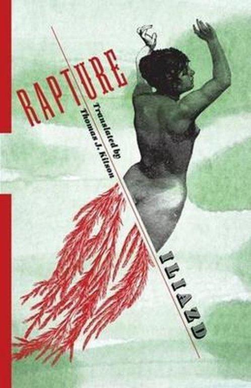 Rapture 9780231180832 Iliazd, Boeken, Taal | Engels, Zo goed als nieuw, Verzenden