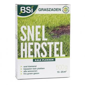 Graszaad herstel | BSI | 15 - 25 m² (Snel kiemend, 500 gram), Tuin en Terras, Gras en Kunstgras, Nieuw, Verzenden