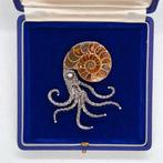 Argento 925. - Broche - Ammoniet fossiel., Verzamelen, Mineralen en Fossielen