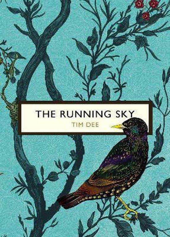 The Running Sky 9781784871147 Tim Dee, Boeken, Taal | Engels, Zo goed als nieuw, Verzenden