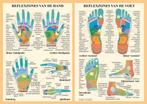 Anatomie poster hand- en voetreflexologie (Nederlands, g..., Sport en Fitness, Massageproducten, Nieuw