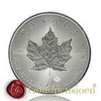 Zilver Maple Leaf 1 troy ounce 999,9 puur zilveren munt, Zilver, Ophalen of Verzenden, Losse munt, Noord-Amerika