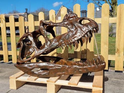 Dinosaurus Schedel - 1:1 Ceratosaurus Skull 83cm Museum, Antiek en Kunst, Kunst | Designobjecten