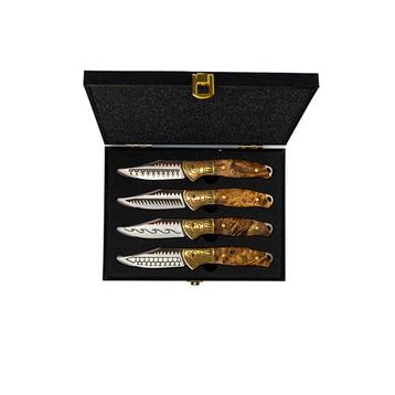 Homeij Steakmessenset Schiffmacher in giftbox 4-delig beschikbaar voor biedingen
