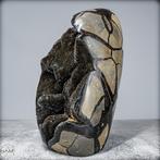Prachtige natuurlijke septarische geode Met