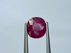 Zonder Minimumprijs - 1 pcs Rood Robijn - 3.04 ct - Lotus, Nieuw