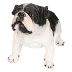 Dierenbeeld Engelse Bulldog staand 41 cm - Beeldjes